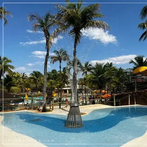 thermas-e-cia-imagem-galeria-bale-das-aguas-atracao-para-criancas-no-thermas-dos-laranjais-6897a8215e266_0.webp