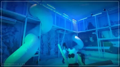 Ingresso PitStop Parque de Neve em Olímpia SP