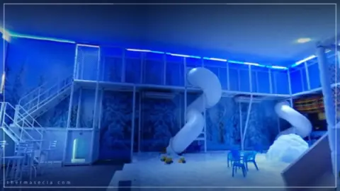 Ingresso PitStop Parque de Neve em Olímpia SP