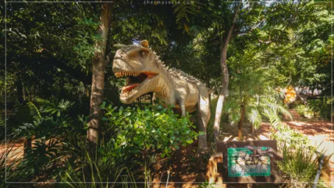 Ingresso Vale dos Dinossauros em Olimpia SP