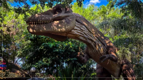 Ingresso Vale dos Dinossauros em Olimpia SP