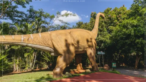 Ingresso Vale dos Dinossauros em Olimpia SP