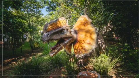 Ingresso Vale dos Dinossauros em Olimpia SP