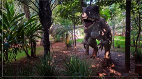 Ingresso Vale dos Dinossauros em Olimpia SP