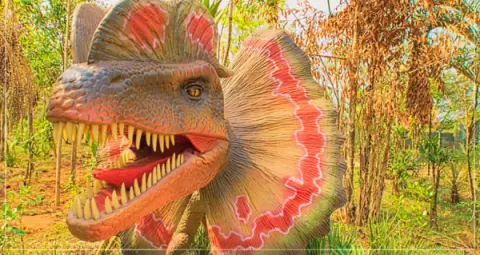 Ingresso Vale dos Dinossauros em Olimpia SP