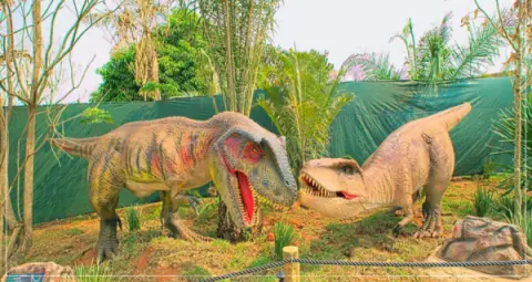 Ingresso Vale dos Dinossauros em Olimpia SP
