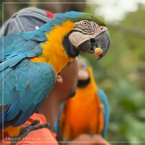 Zoológico e Fazendinha atração para família no Thermas dos Laranjais