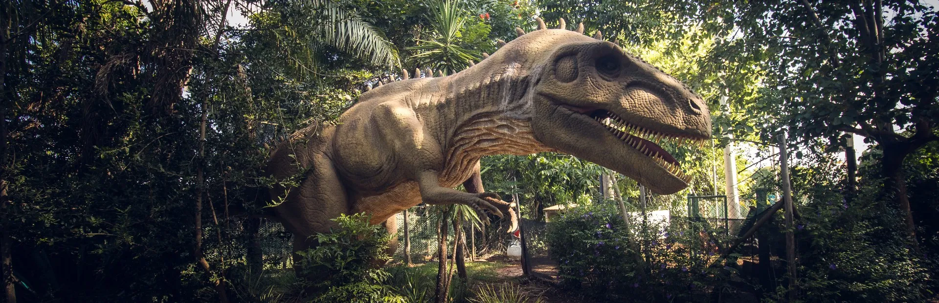 Ingresso Vale dos Dinossauros em Olimpia SP